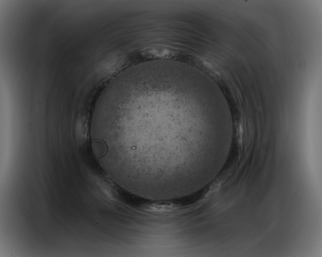 X0000087000606200704161525
