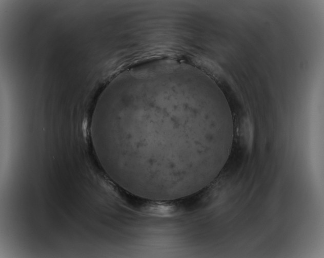 X0000087000610200704161525