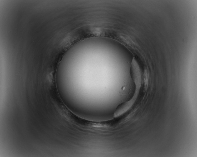 X0000087000611200704161525
