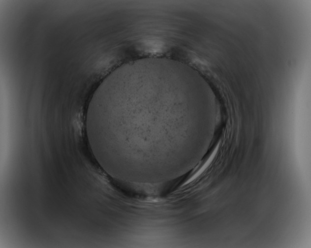X0000087000612200704161525