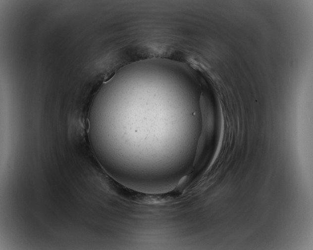 X0000087000613200704161525