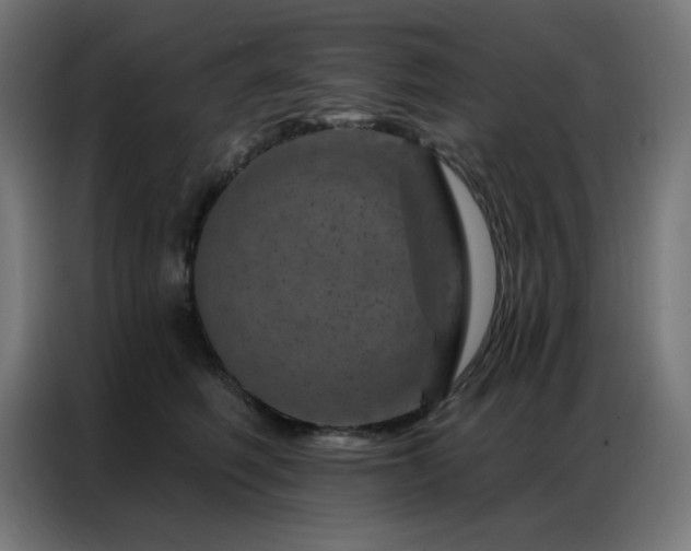 X0000087000614200704161525