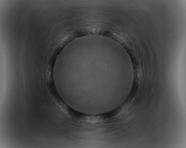 X0000087000615200704161525