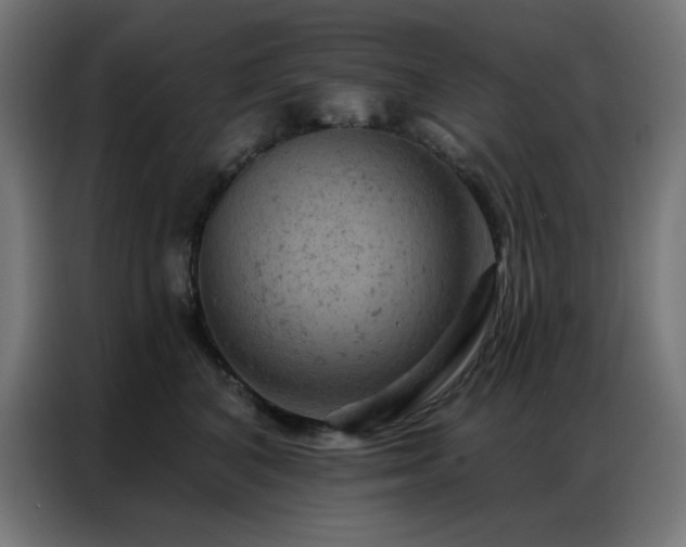 X0000087000616200704161525