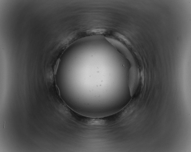 X0000087000617200704161525