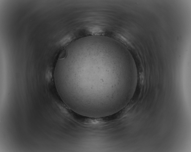 X0000087000618200704161525