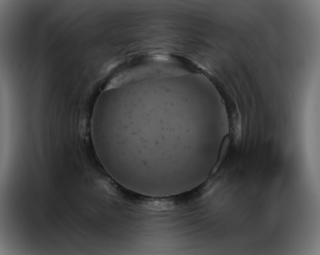X0000087000619200704161525