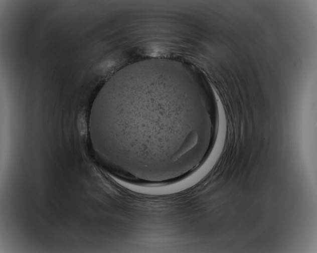 X0000087000620200704161525