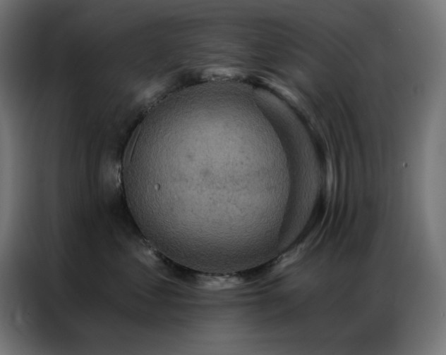 X0000087000621200704161525