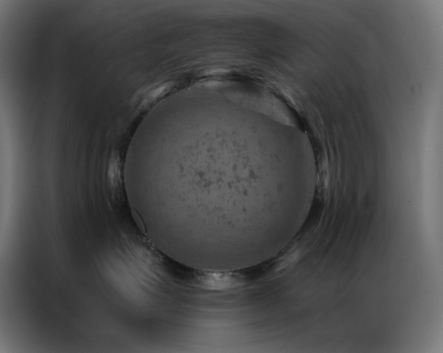 X0000087000623200704161525