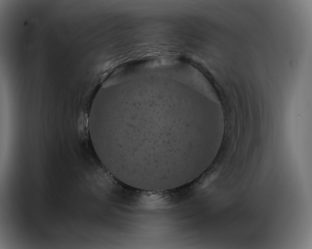 X0000087000624200704161525