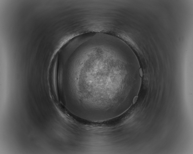 X0000087000626200704161524