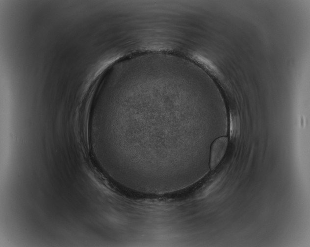 X0000087000627200704161524