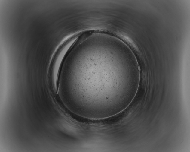 X0000087000628200704161524