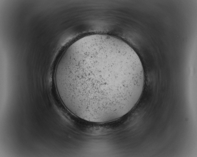 X0000087000632200704161524