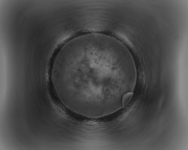 X0000087000635200704161524