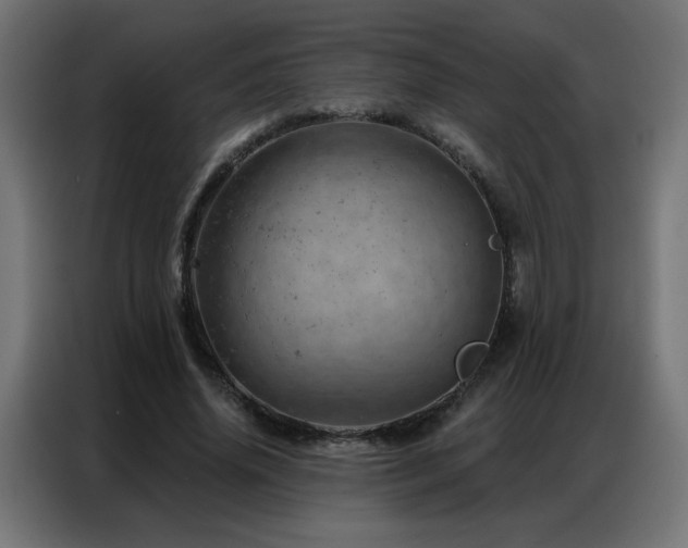 X0000087000636200704161524