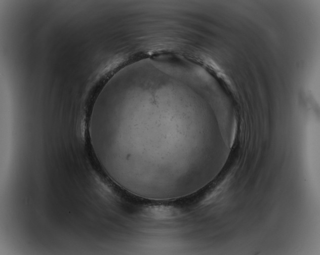 X0000087000637200704161524