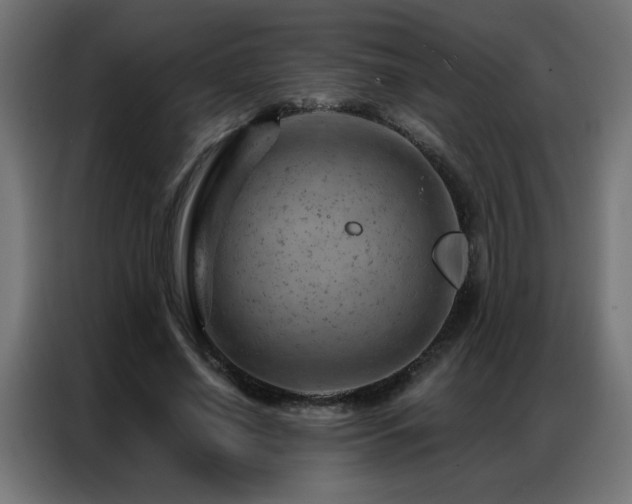 X0000087000638200704161524