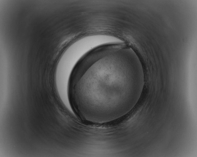 X0000087000640200704161524
