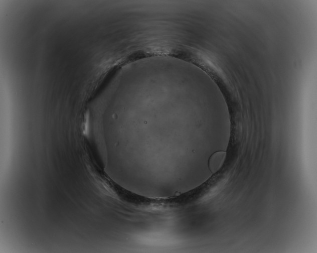 X0000087000641200704161524
