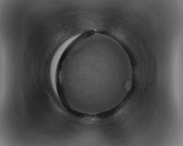X0000087000642200704161524
