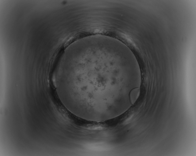 X0000087000643200704161524