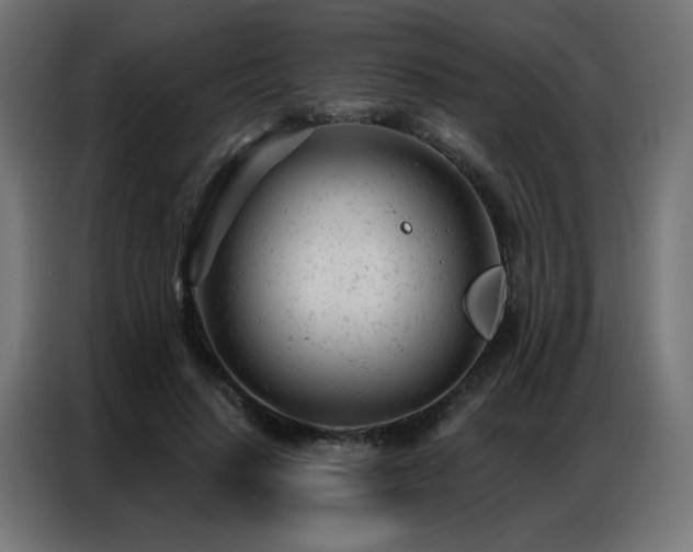 X0000087000644200704161524