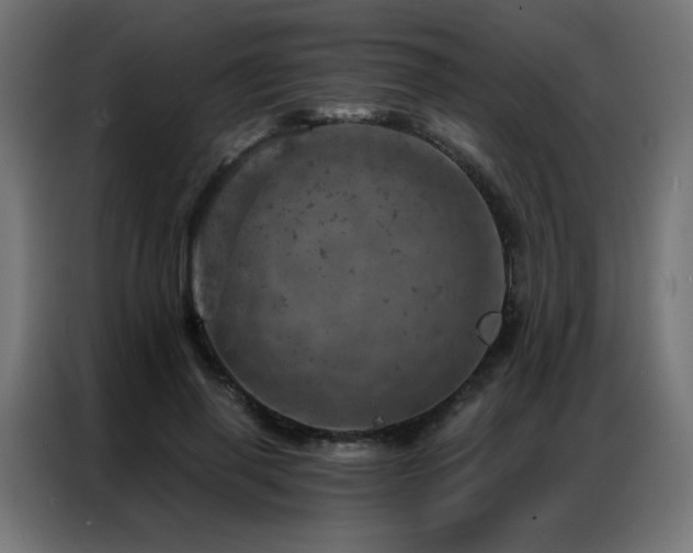 X0000087000645200704161524