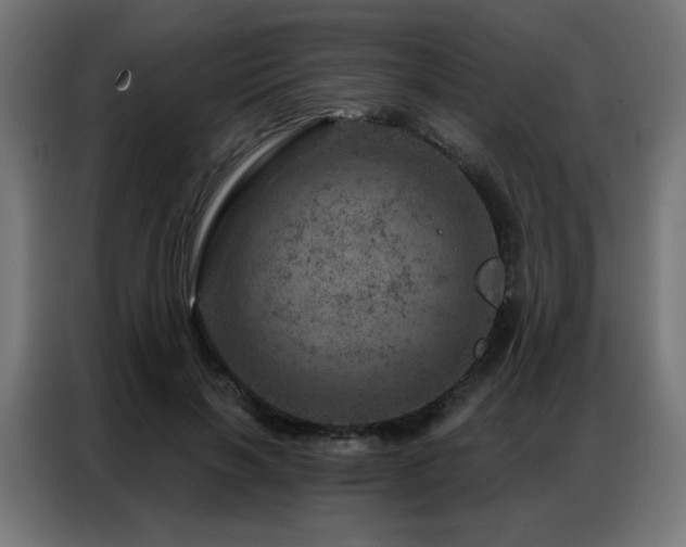 X0000087000646200704161524