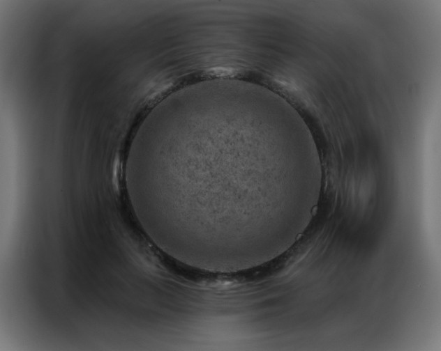 X0000087000647200704161524