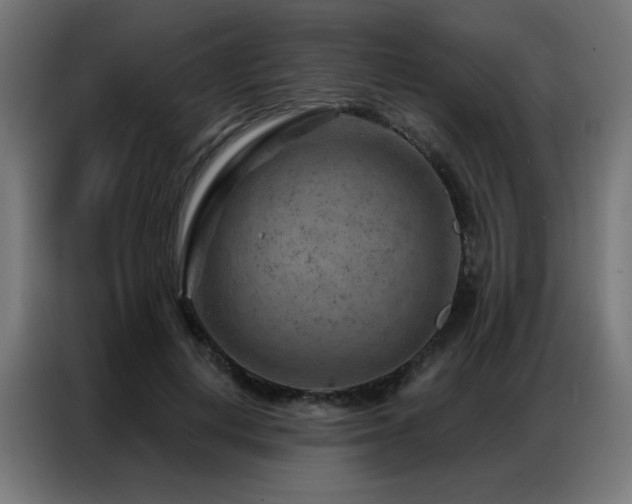 X0000087000648200704161524
