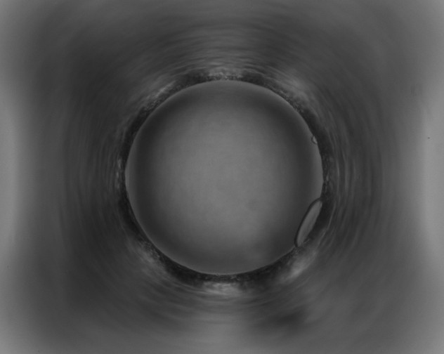 X0000087000649200704161524