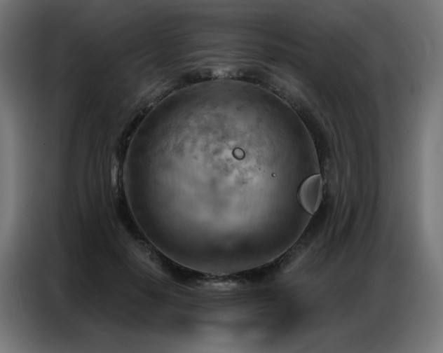 X0000087000650200704161524