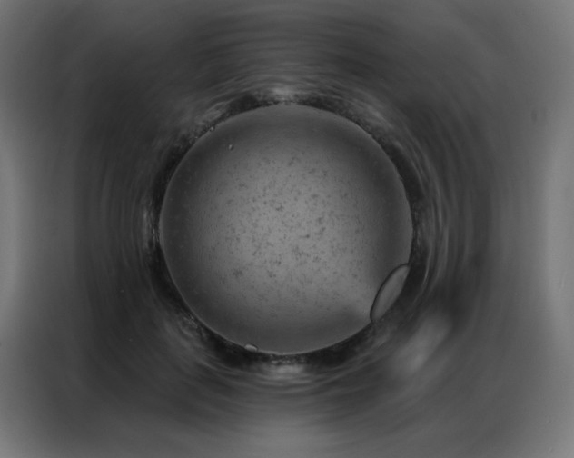 X0000087000651200704161524