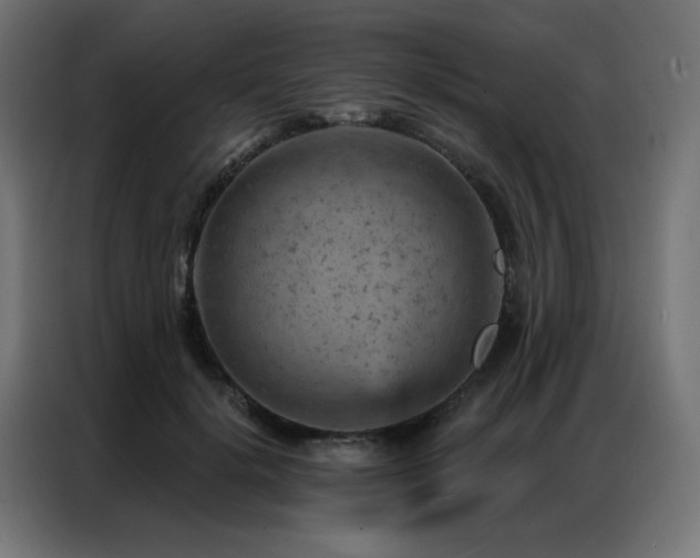 X0000087000652200704161524