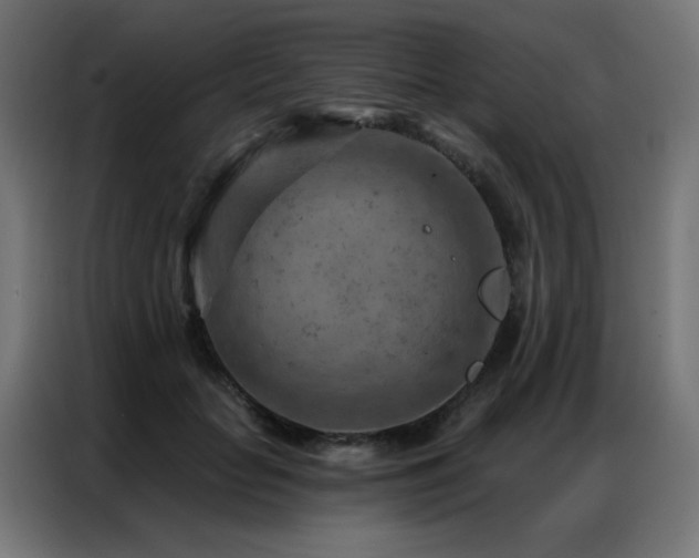 X0000087000653200704161524