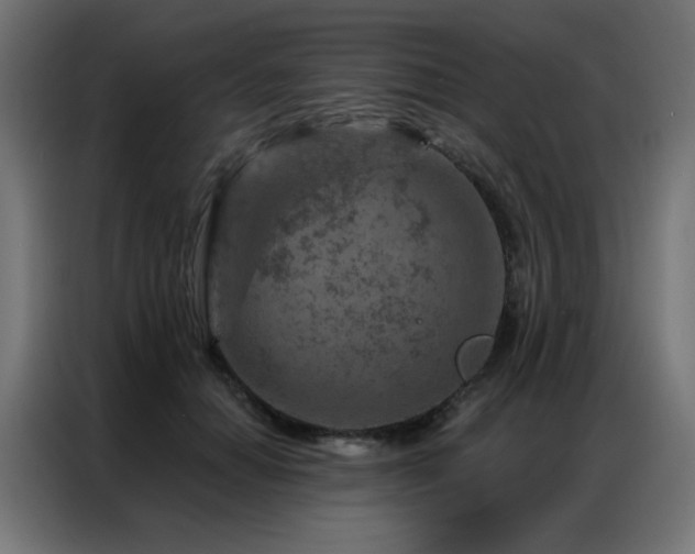 X0000087000654200704161524