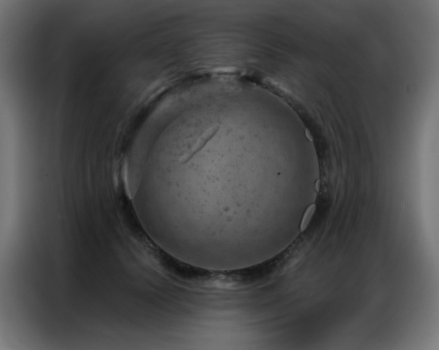 X0000087000656200704161524