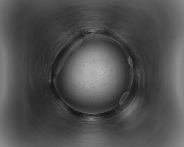 X0000087000657200704161524