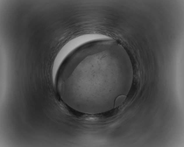 X0000087000658200704161524
