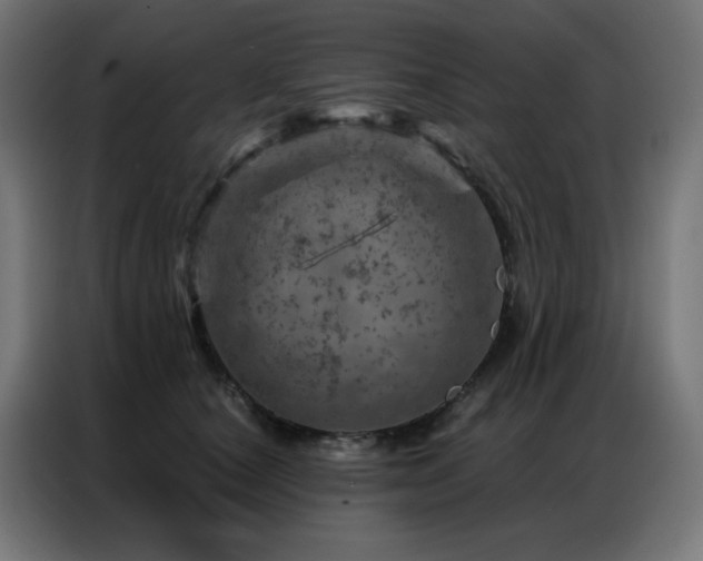 X0000087000660200704161525