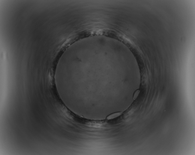 X0000087000661200704161525