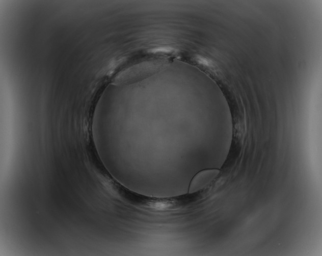 X0000087000662200704161525