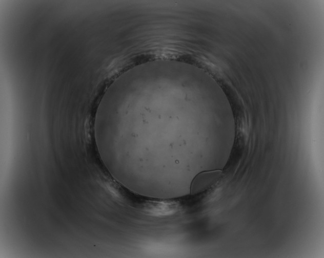 X0000087000663200704161525
