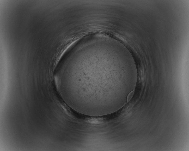 X0000087000664200704161525