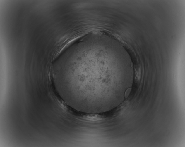 X0000087000666200704161525