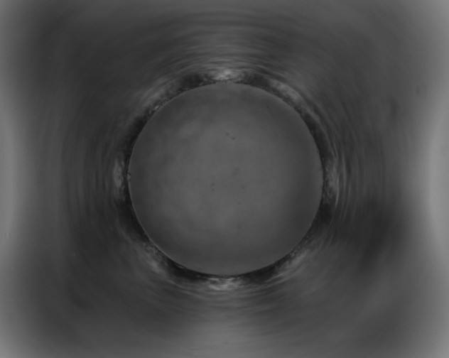X0000087000667200704161525
