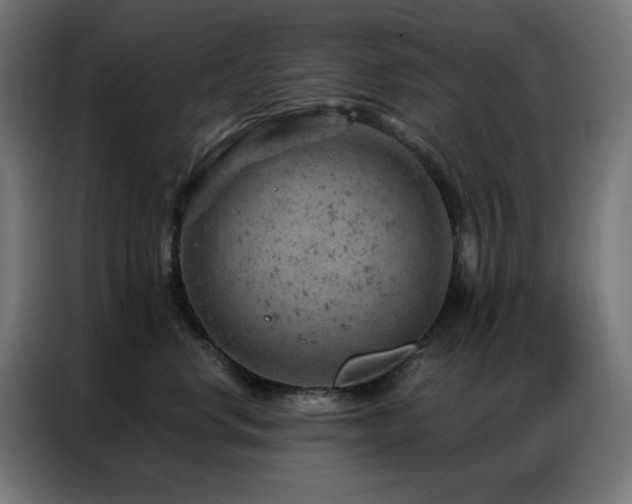 X0000087000668200704161525