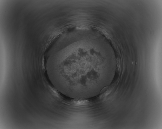 X0000087000670200704161525